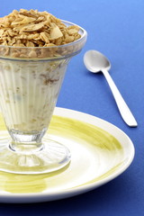 delicious yogurt and granola