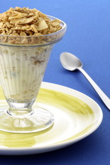 delicious yogurt and granola