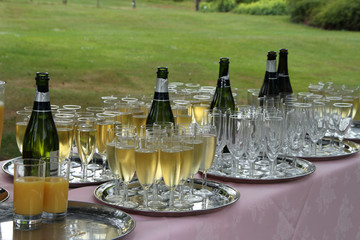 Champagne laid out ready to drink