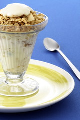 delicious yogurt and granola