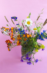 wild flowers on a blue background