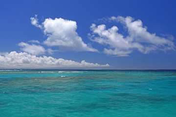 美しいサンゴ礁の海