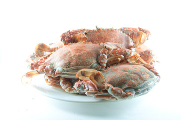 crab
