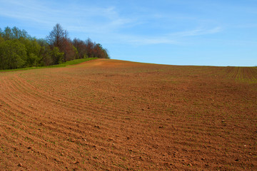 Landscape view of farmland in the spring