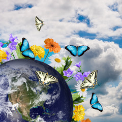 Flowers growing from the earth