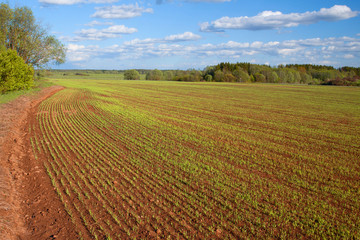 Landscape view of farmland in the spring
