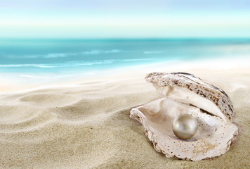 Fototapeta na wymiar Shell z perłą