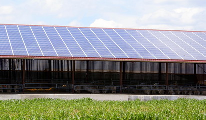 Ferme solaire, centrale solaire, agriculture durable, élevage