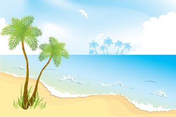 Fototapeta na wymiar Ocean coast with palms