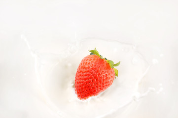 Strawberry in milk