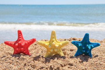 Fototapeta na wymiar Three colorful starfish on the beach
