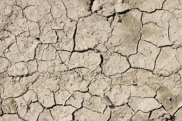 trockener Boden Textur 1