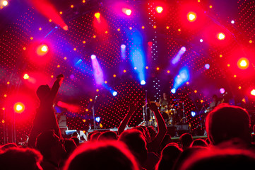 Crowd of fans at a concert