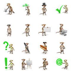 3d Rat collection