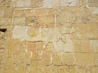 Marsa Alam, engraving of an animal on the wall