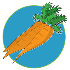 Carrot Graphic