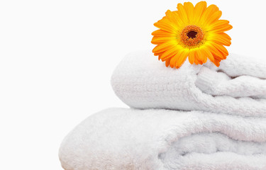 Fototapeta na wymiar Close up of a sunflower on white towels