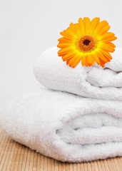 Obraz na płótnie Canvas White towels under an orange sunflower