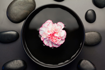 Fototapeta na wymiar Pink and white carnation floating in a black bowl surrounded by