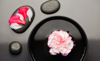 Obraz na płótnie Canvas White and pink carnation floating on a bowl withblack stones aro