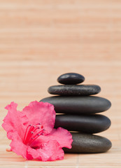 Obraz na płótnie Canvas Pink orchid next to a black stones stack