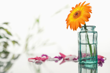 Orange gerbera in a glass flask with pink petals and leaves