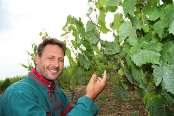 Winegrower standing in vineyard