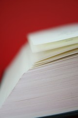 Buchseiten