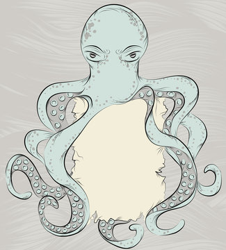 Hand drawn detailed octopus illustration