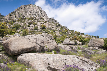 Fototapeta na wymiar Granitowych batholith w Sierra de la Cabrera, Madryt