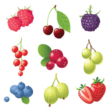berries icons set