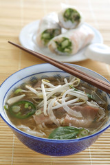 Vietnamese Beef Soup