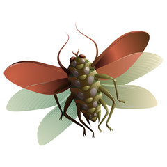 cartoon insect
