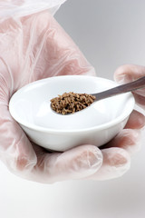 Kümmelsamen werden in einem Lebensmittellabor untersucht