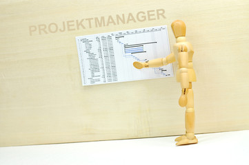 Projektmanager