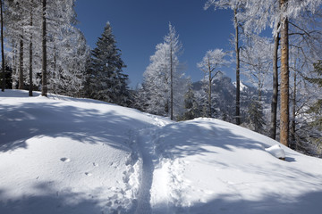 Schneelandschaft im Alpstein