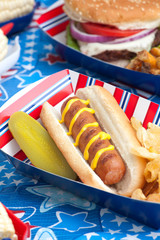 Picnic on 4th of July