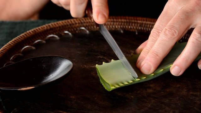 aloe vera