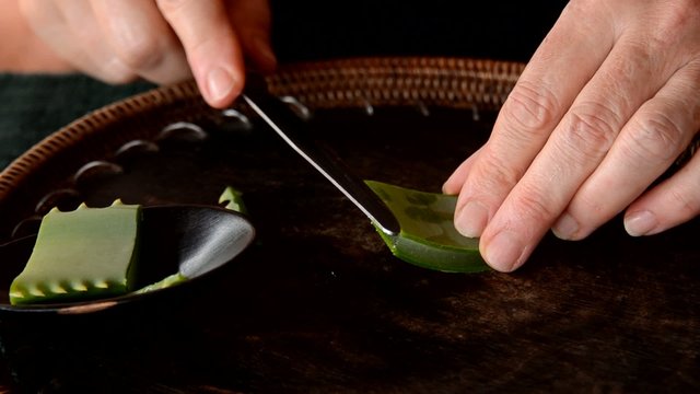 aloe vera