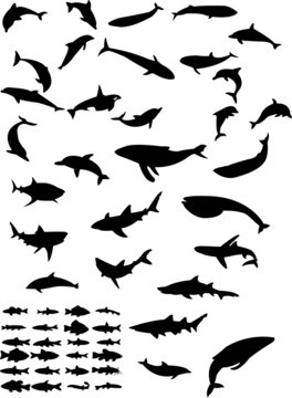 collection of sea animals silhouette - vector