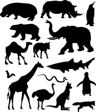 collection of wild animals silhouettes - vector