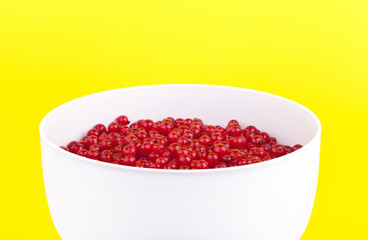 Schüssel mit frisch gepflückten Johannisbeeren aus dem Garten