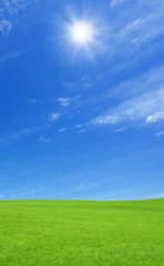 Green grass and rainbow