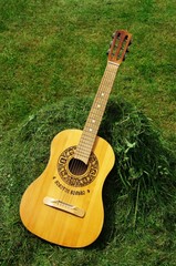 gitara na trawie