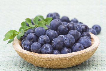 fresh blueberries
