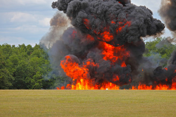 feu de foret 004