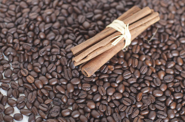 bâton de cannelle sur fond de graines de café
