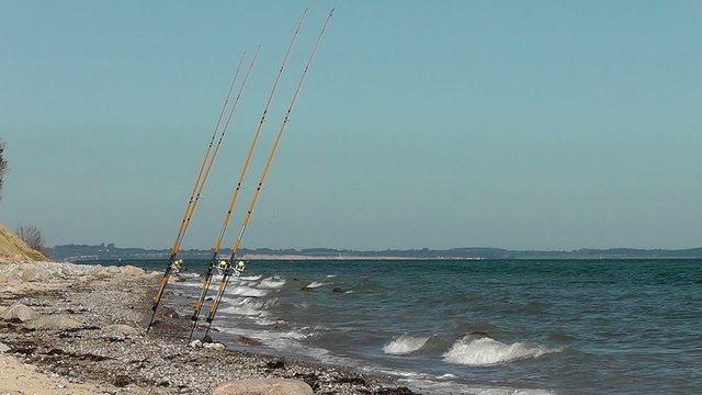 Angelruten - Ostsee