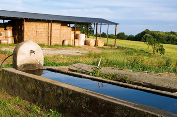 fontanile in campagna