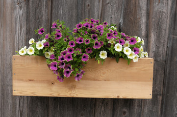 Wood flower box